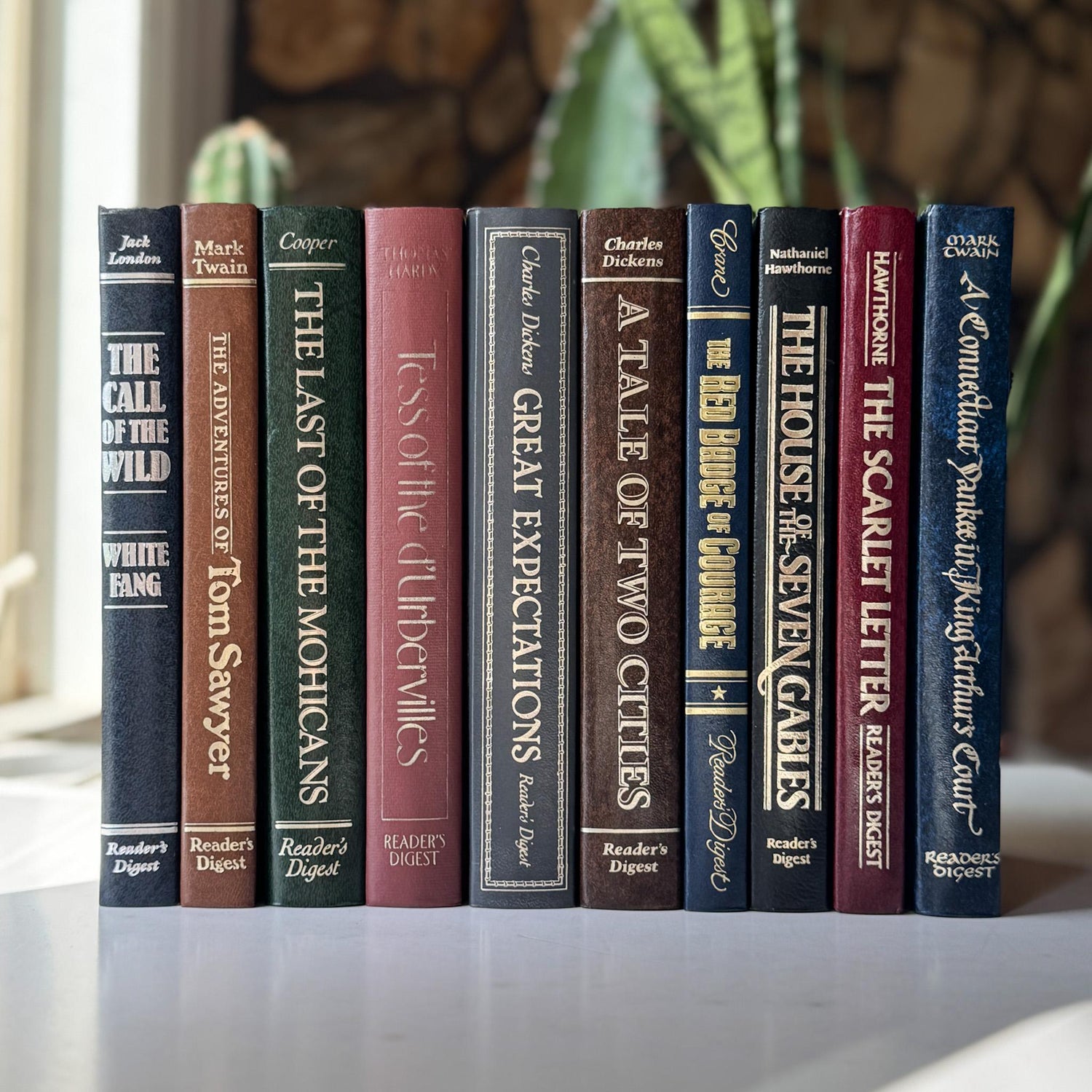 Multi-Color Decorative Books
