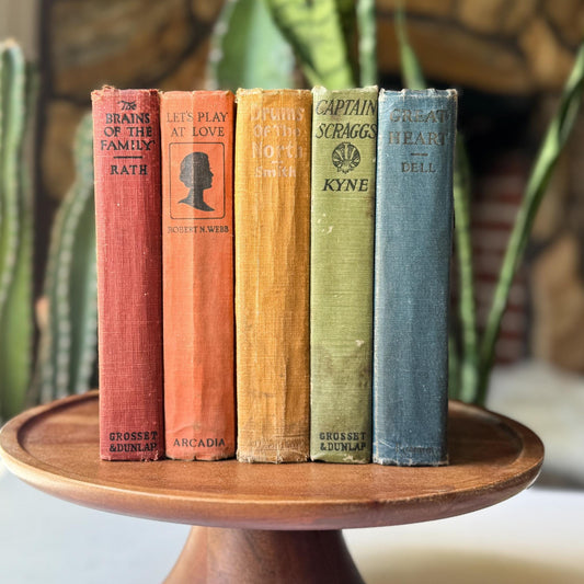 Antique Rainbow Book Set for Shelf Display, Rustic Farmhouse Decor, Rainbow Bookshelf Decor