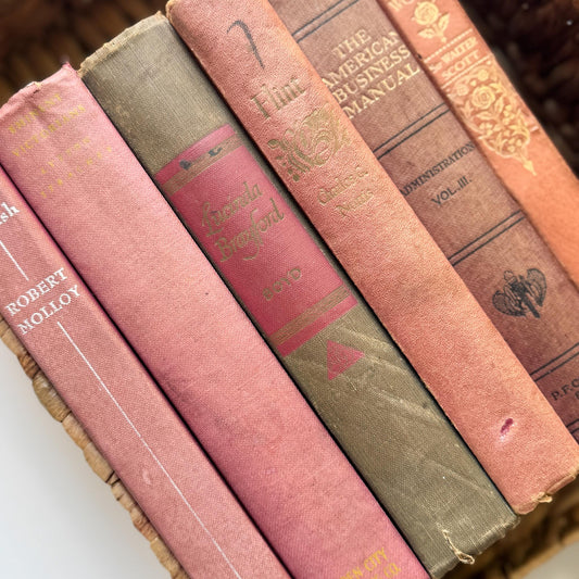 Vintage Mauve, Pink, Coral Shabby Cozy Decorative Books for Shelf Styling