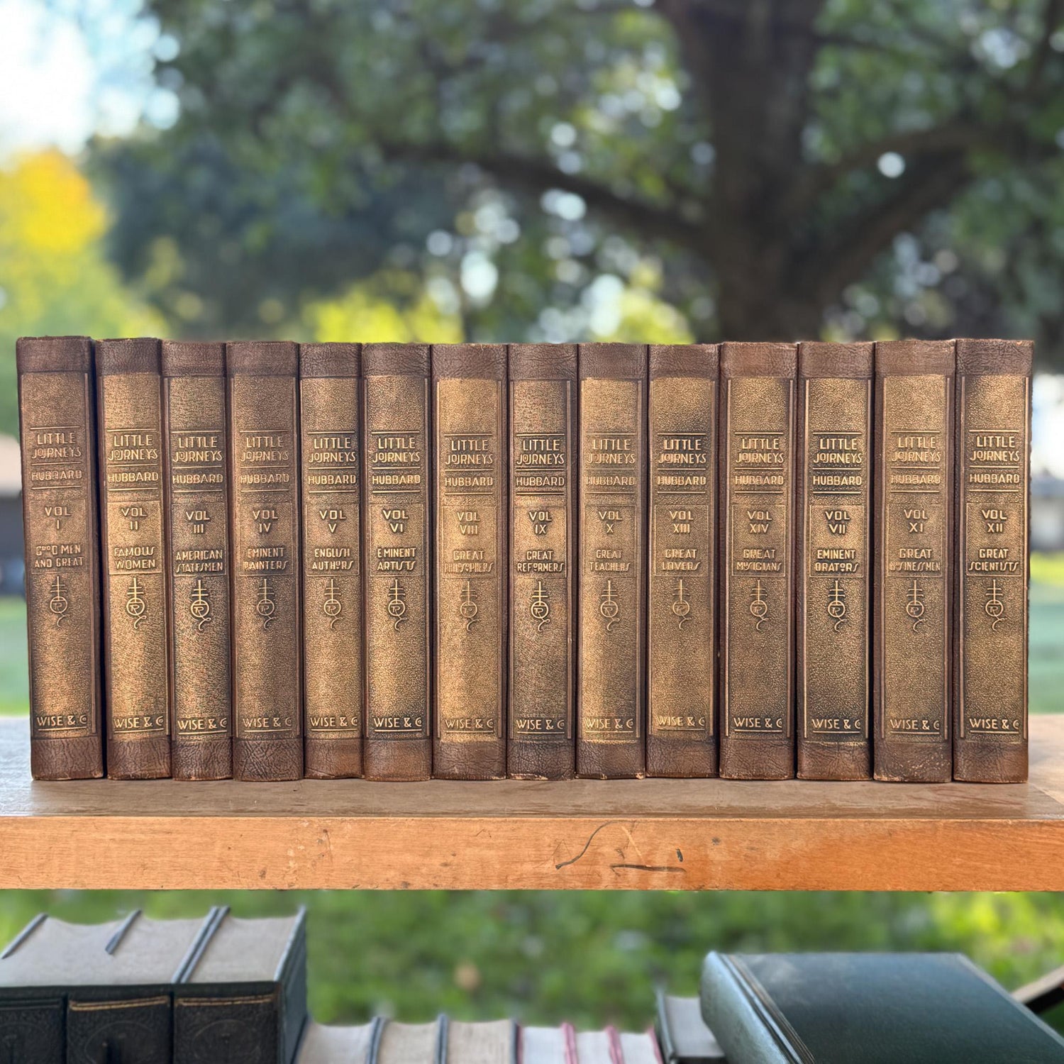 Antique Leather-Bound Book Bundles and Sets