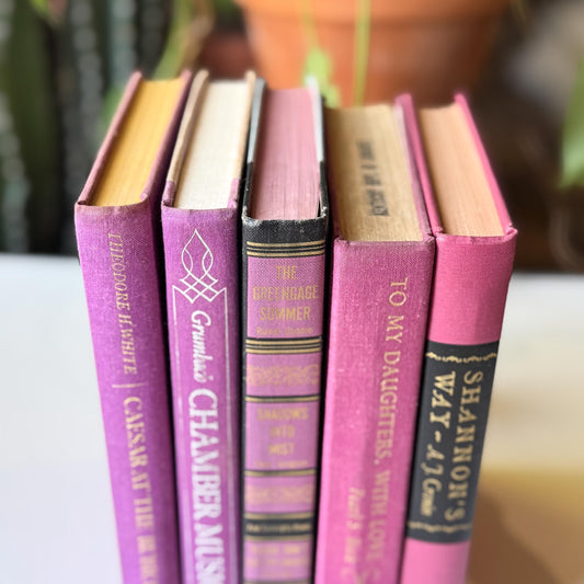 Purple Vintage Book Bundle for Shelf Styling and Decor