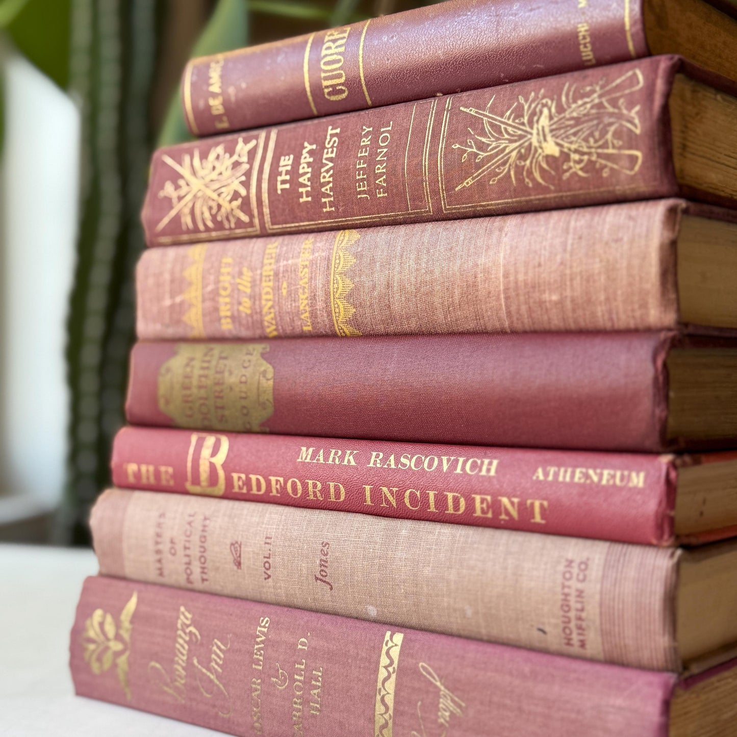 Mauve Pink Burgundy Vintage Book Bundle for Shelf Styling and Decor