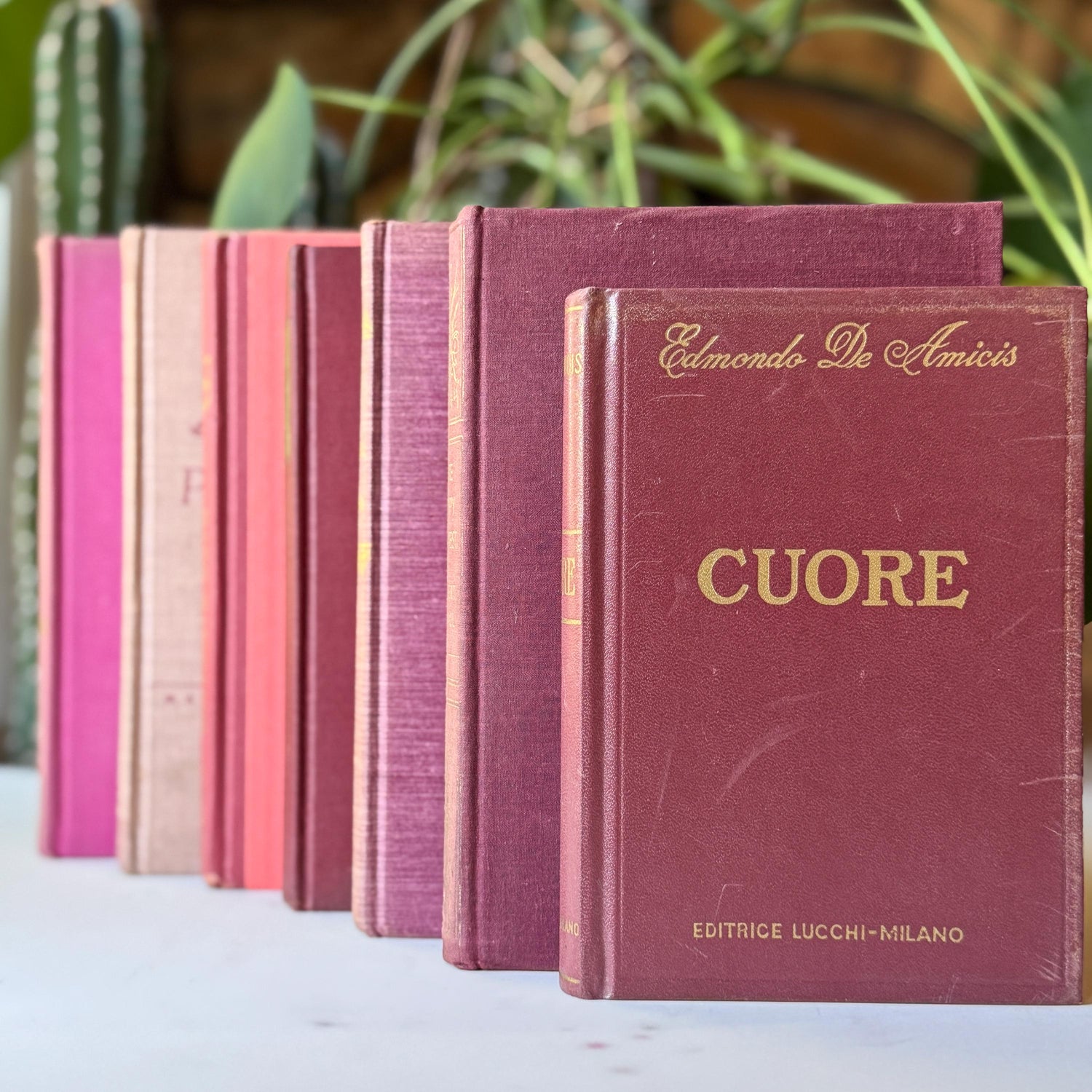 Mauve Pink Burgundy Vintage Book Bundle for Shelf Styling and Decor