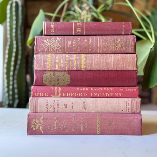 Mauve Pink Burgundy Vintage Book Bundle for Shelf Styling and Decor