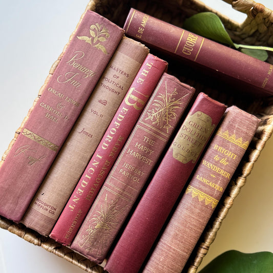 Mauve Pink Burgundy Vintage Book Bundle for Shelf Styling and Decor
