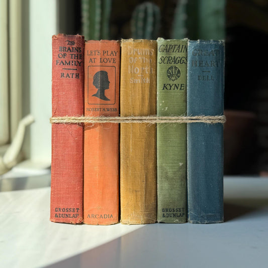Antique Rainbow Book Set for Shelf Display, Rustic Farmhouse Decor, Rainbow Bookshelf Decor