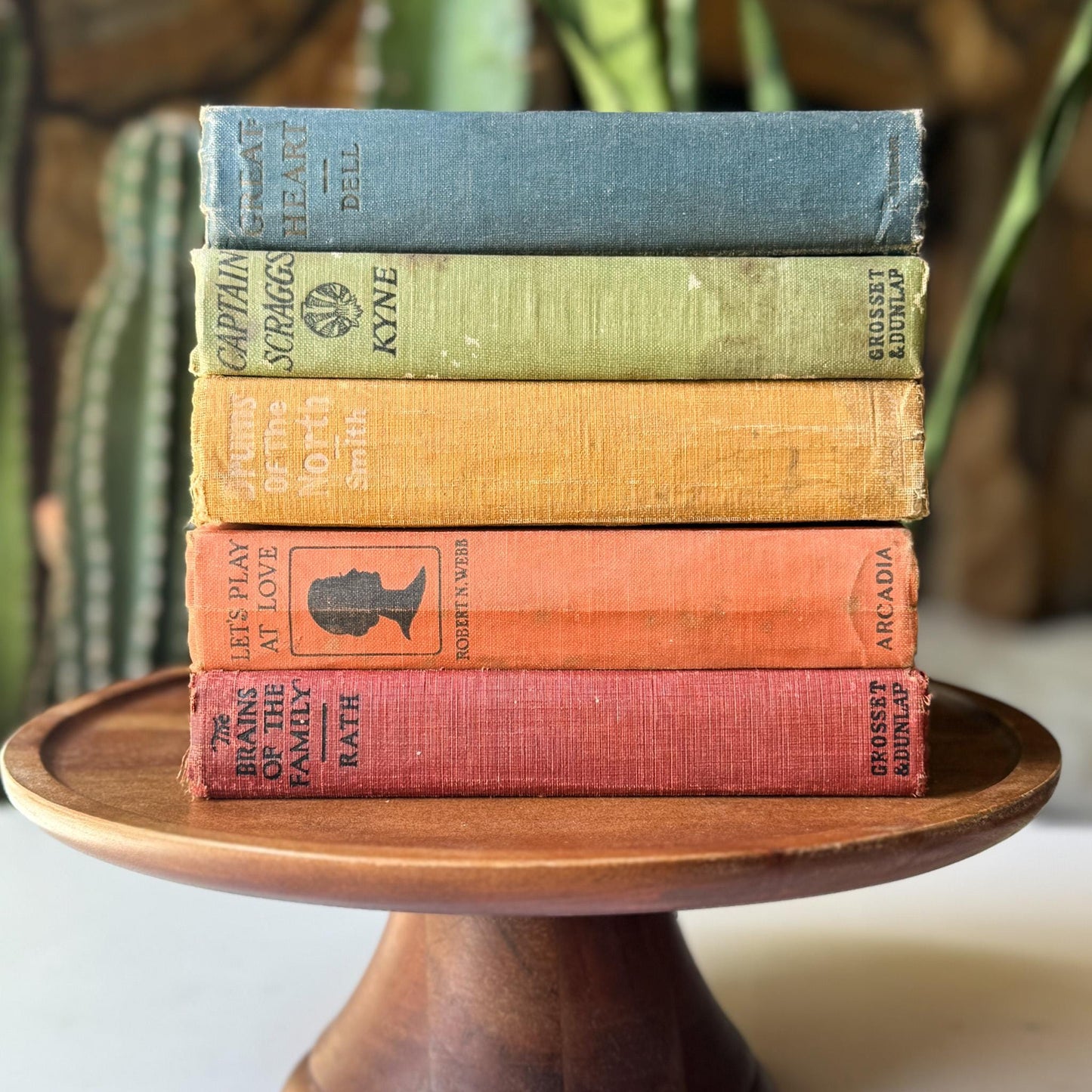 Antique Rainbow Book Set for Shelf Display, Rustic Farmhouse Decor, Rainbow Bookshelf Decor