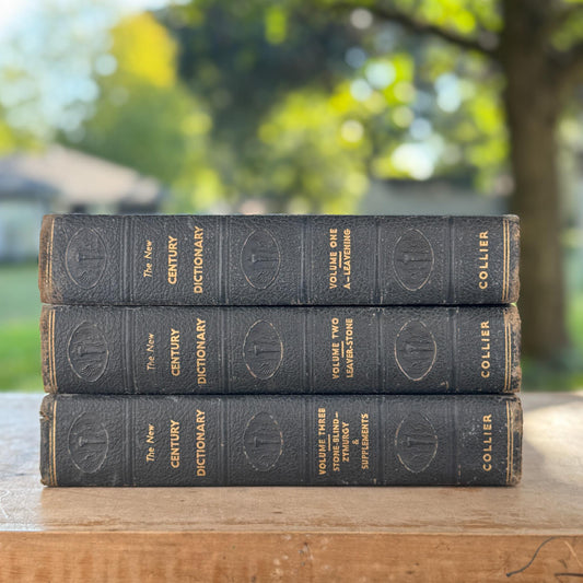 Vintage Oversized Illustrated Blue New Century Dictionary Books 1934