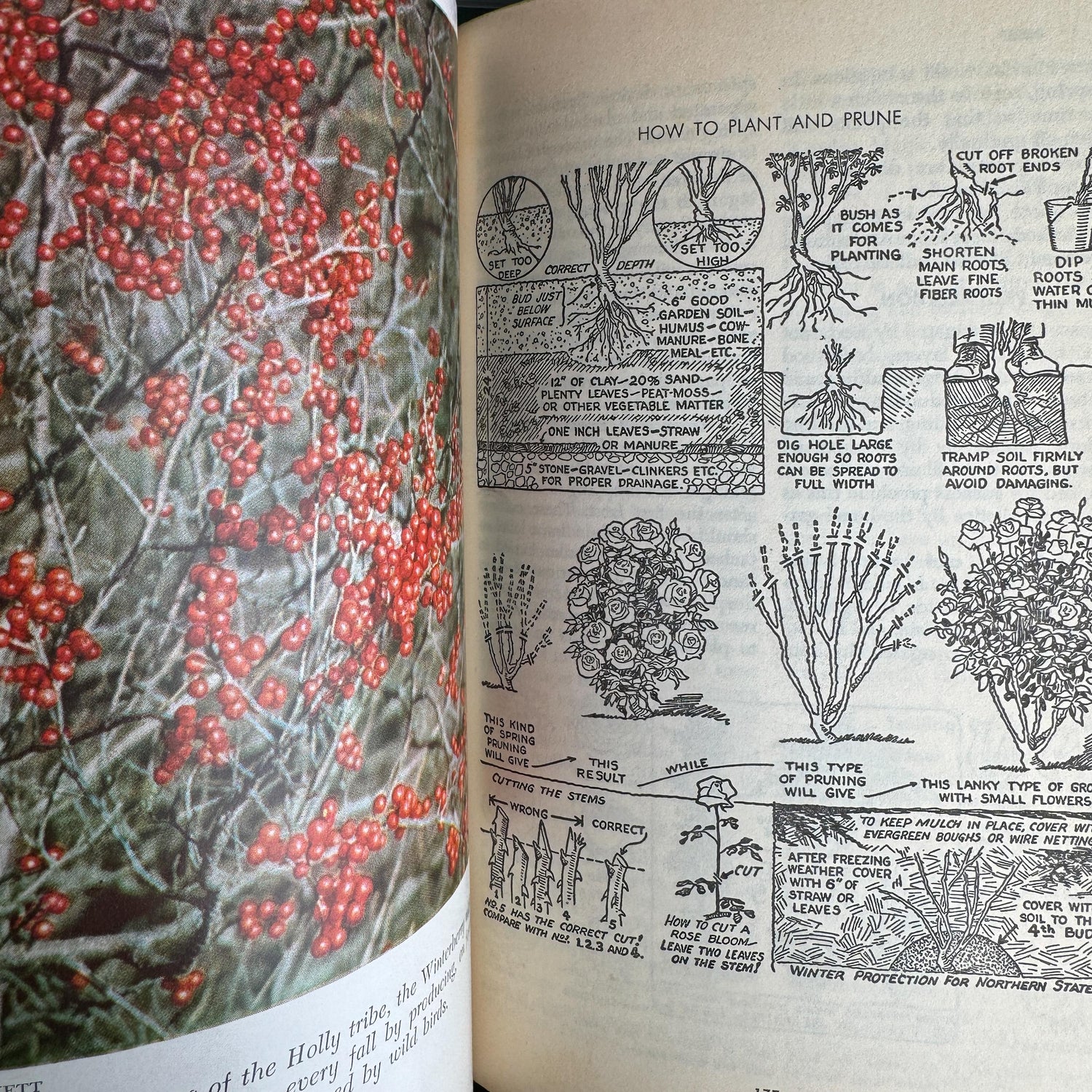 Vintage Green Gardening Book Bundle