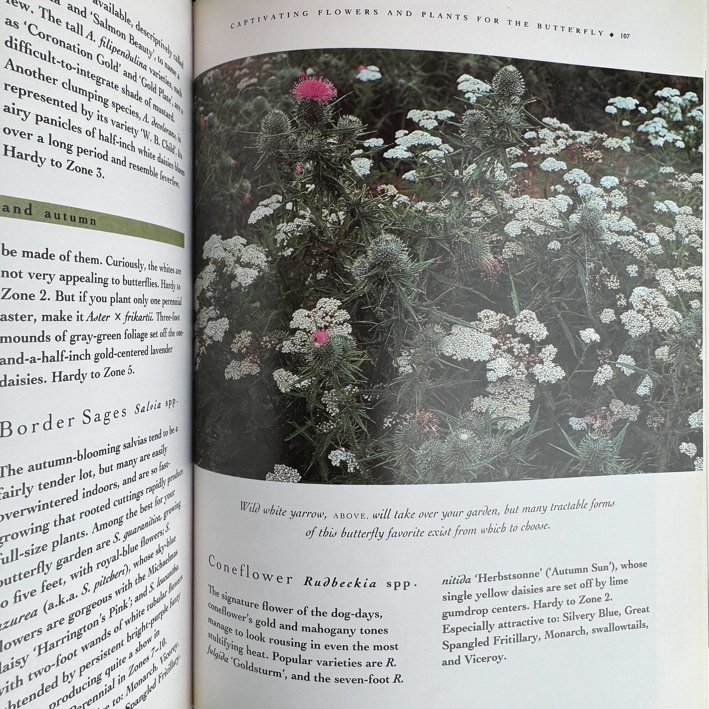 Vintage Green Gardening Book Bundle