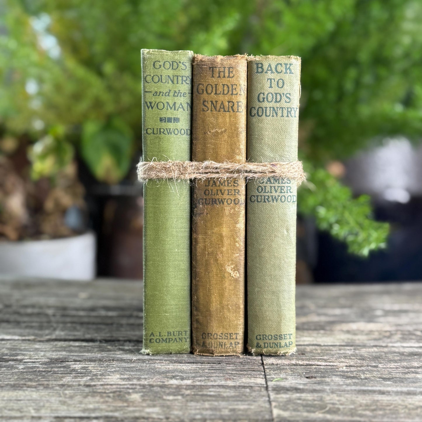 Antique James Oliver Curwood Westerns, Olive Green and Beige Book Bundle