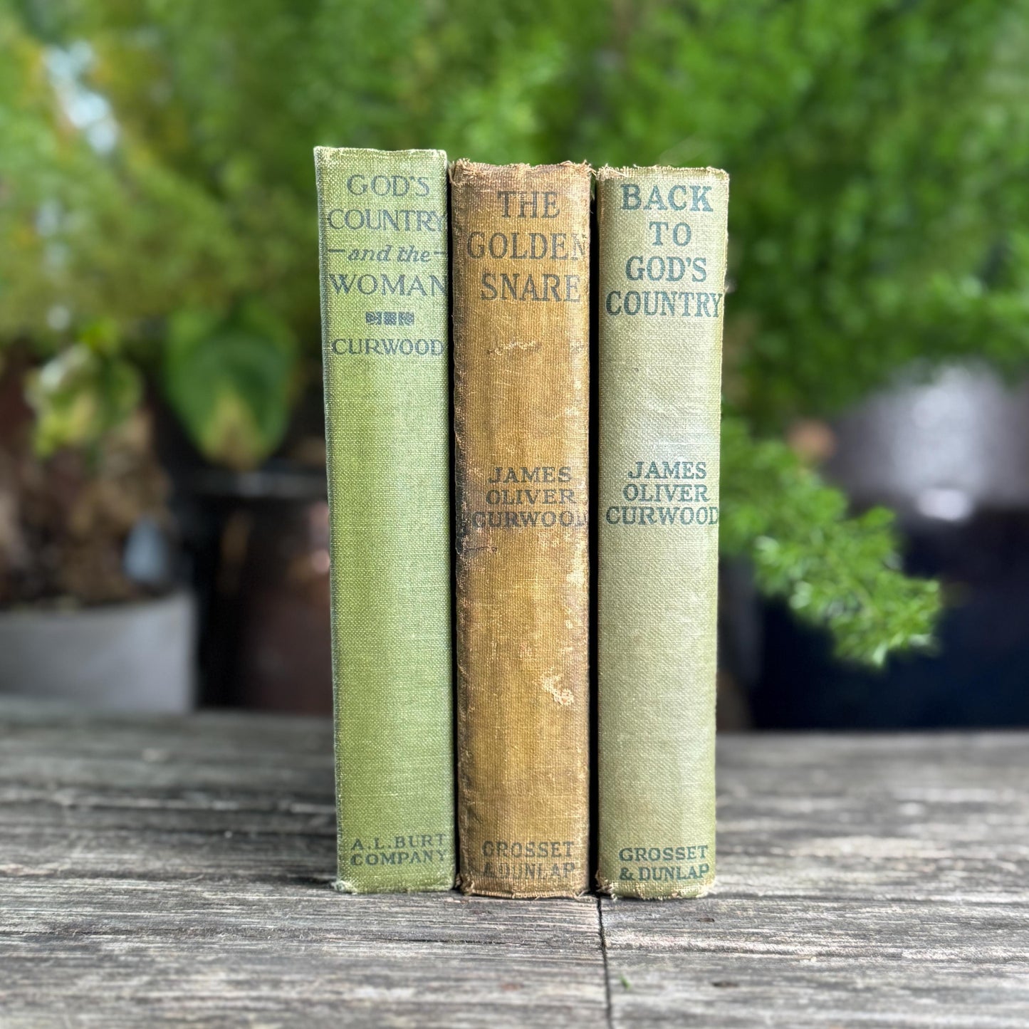 Antique James Oliver Curwood Westerns, Olive Green and Beige Book Bundle