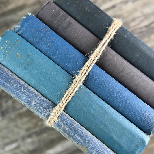 Old Shabby Blue Vintage Books with No Lettering on Spines