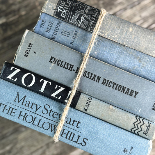 Light Blue and Black Vintage Decorative Book Bundle for Shelf Styling