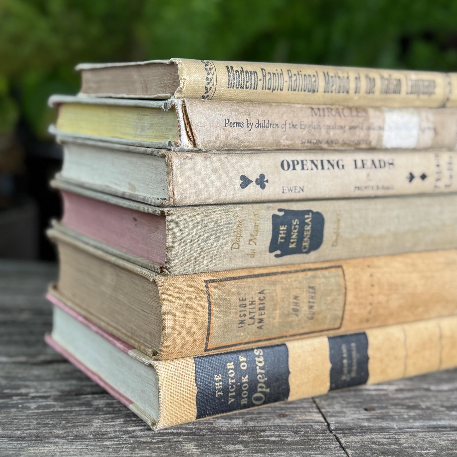 Old Neutral Beige and Black Book Bundle for Cozy Shelf Styling