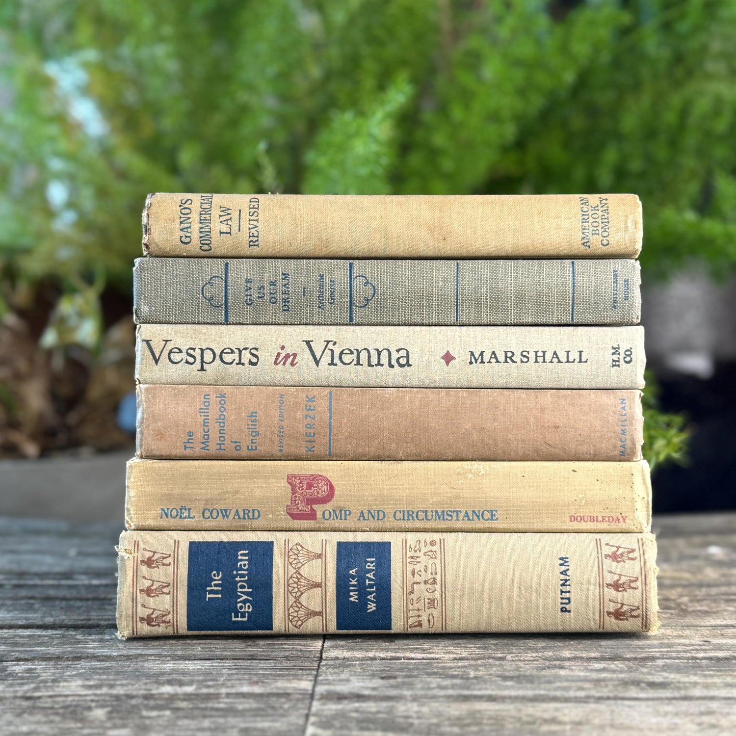 Beige, Blue, Gray, and Beige Vintage Books for Decor