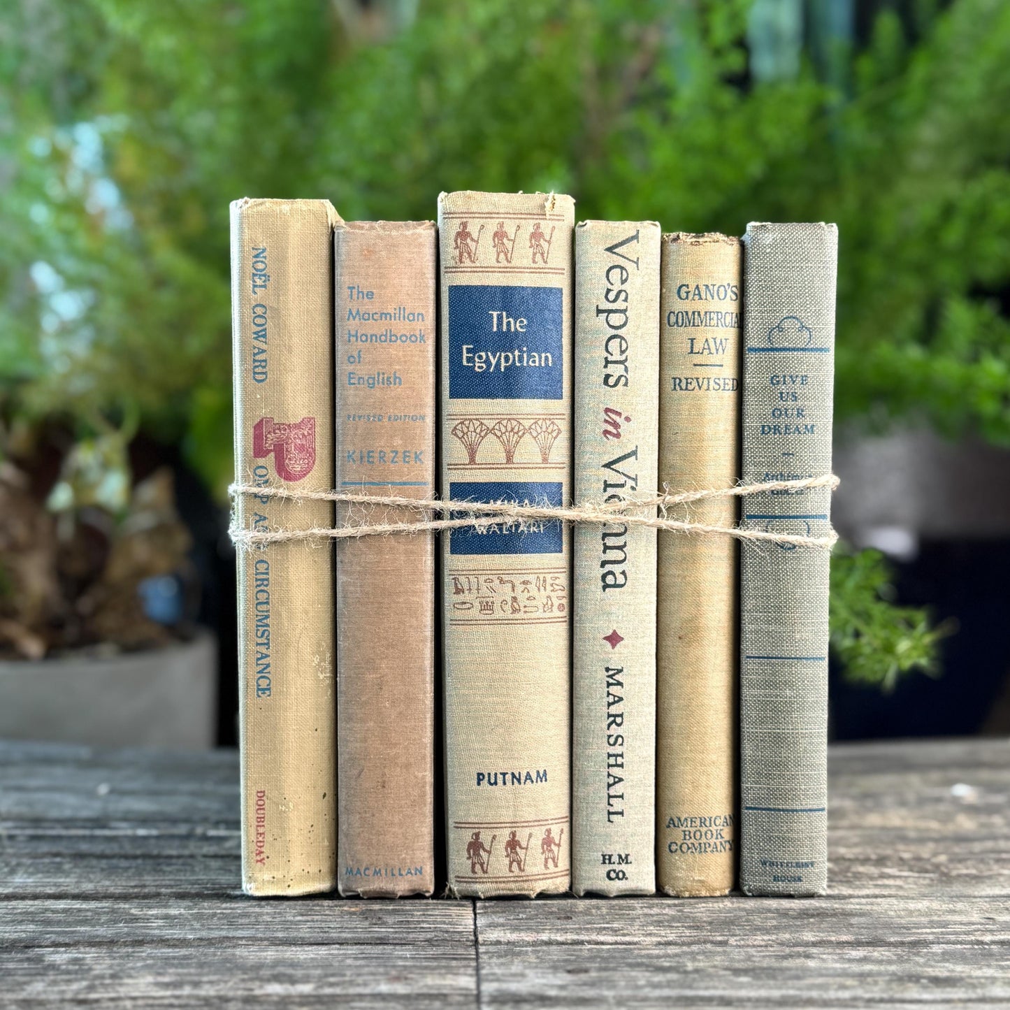 Beige, Blue, Gray, and Beige Vintage Books for Decor
