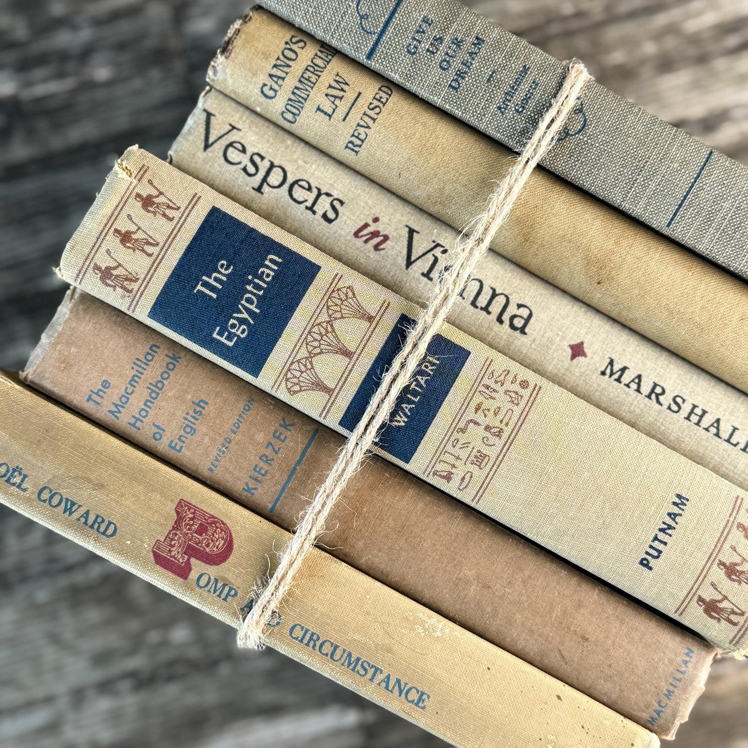 Beige, Blue, Gray, and Beige Vintage Books for Decor
