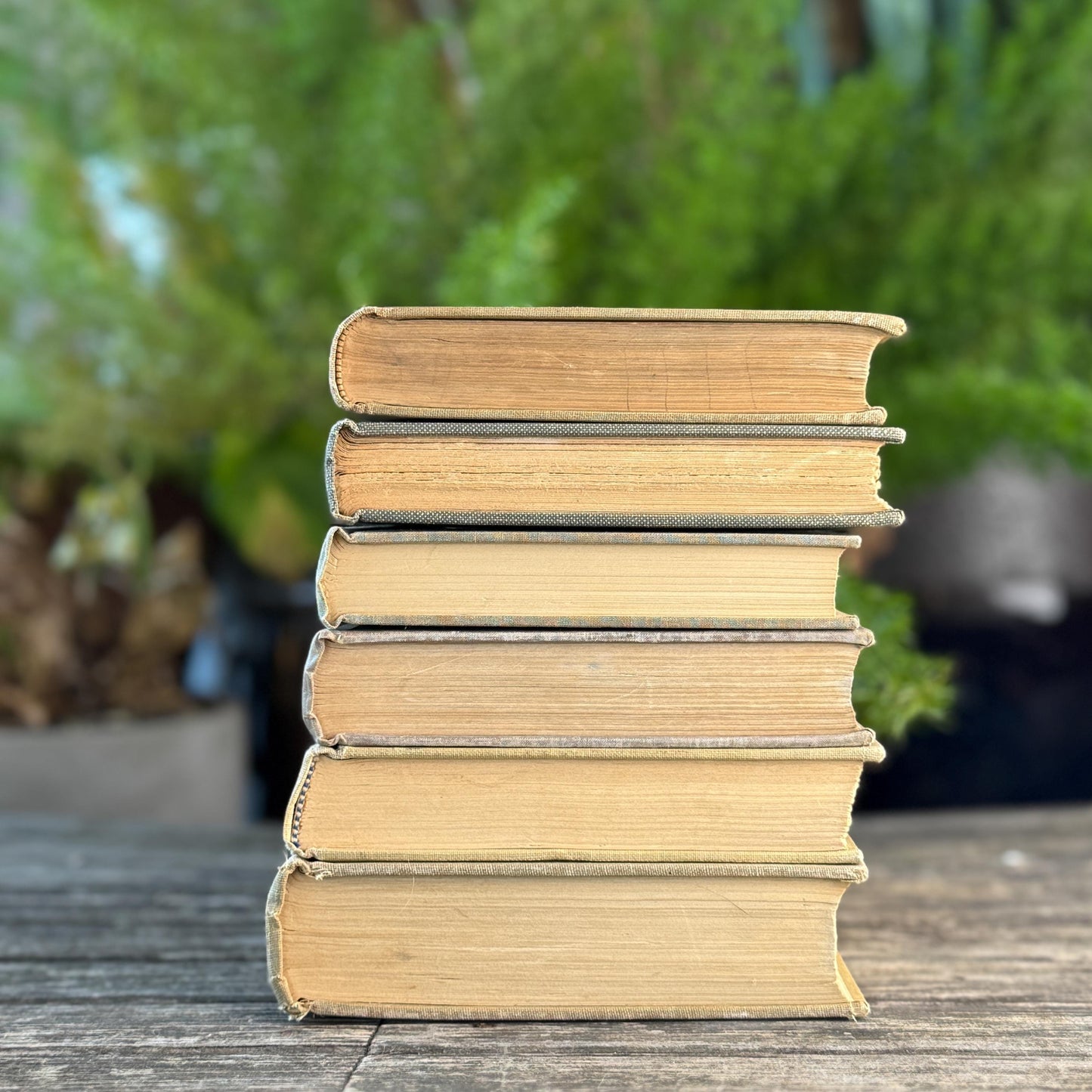 Beige, Blue, Gray, and Beige Vintage Books for Decor