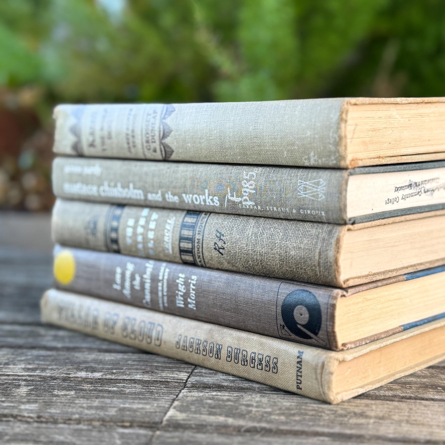 Taupe, Brown, Tan Mid Century Neutral Book Bundle