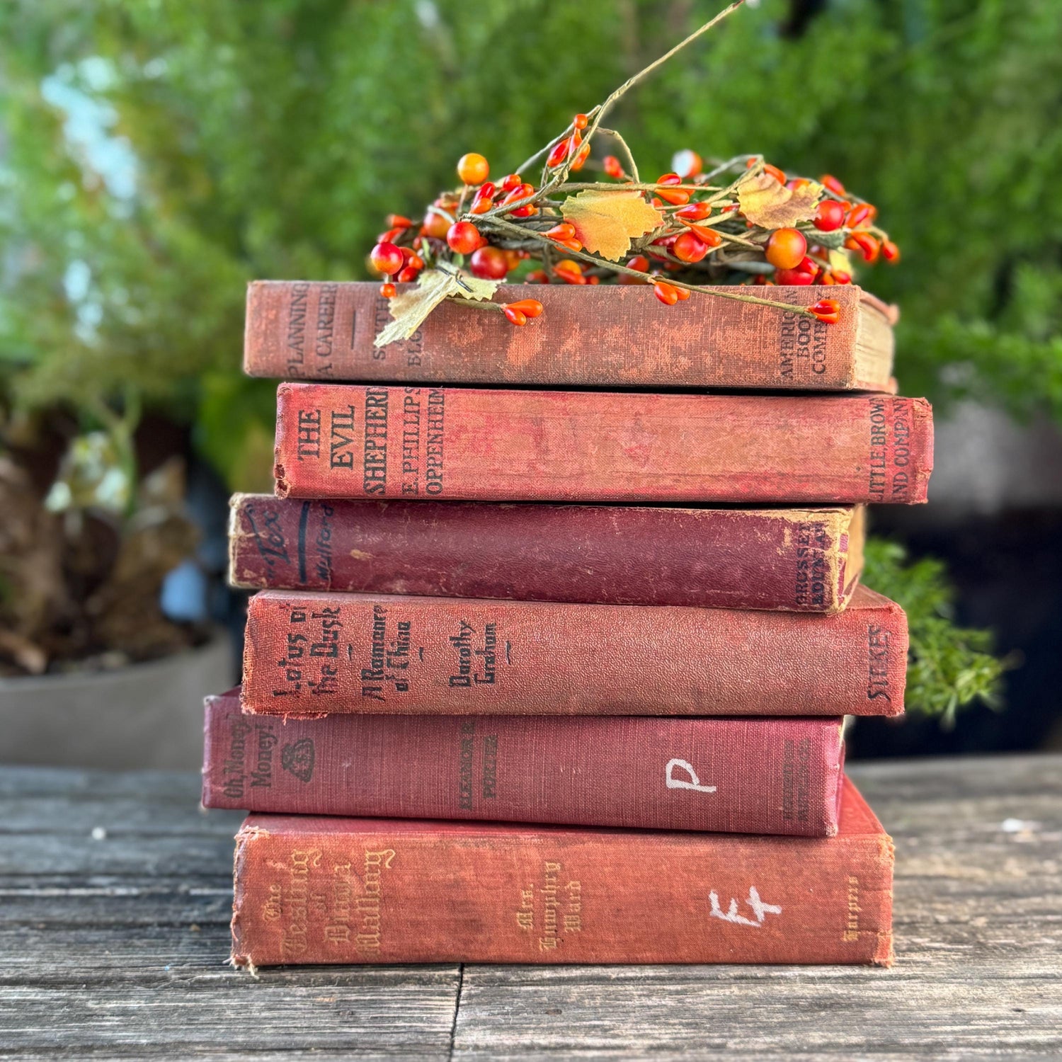 Red Antique Shabby Book Bundle for Shelf Styling