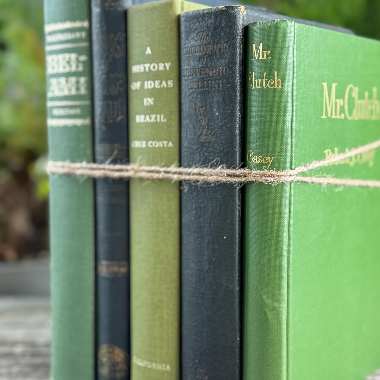 Oversized Green Vintage Book Bundle in Olive and Hunter