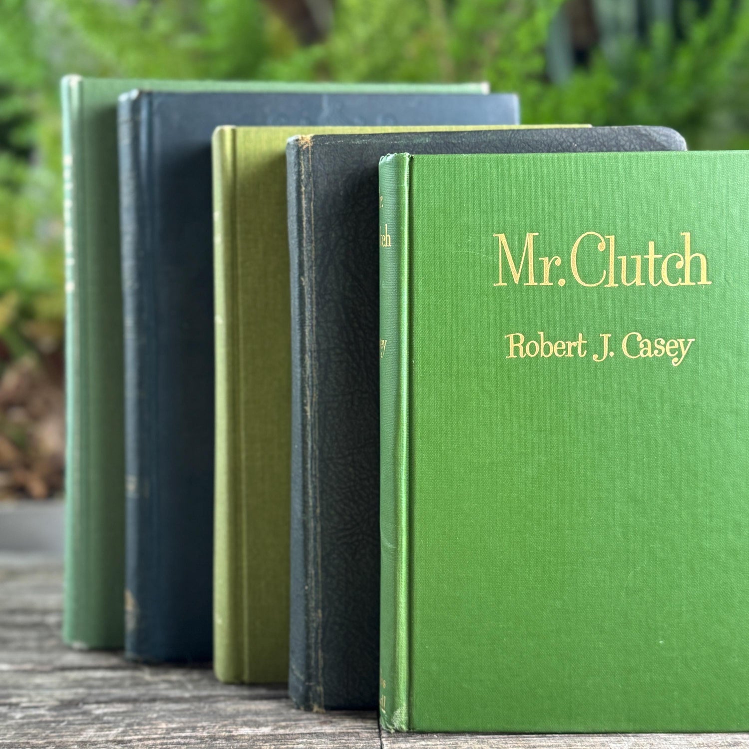 Oversized Green Vintage Book Bundle in Olive and Hunter