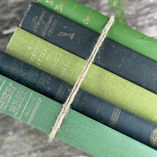 Oversized Green Vintage Book Bundle in Olive and Hunter