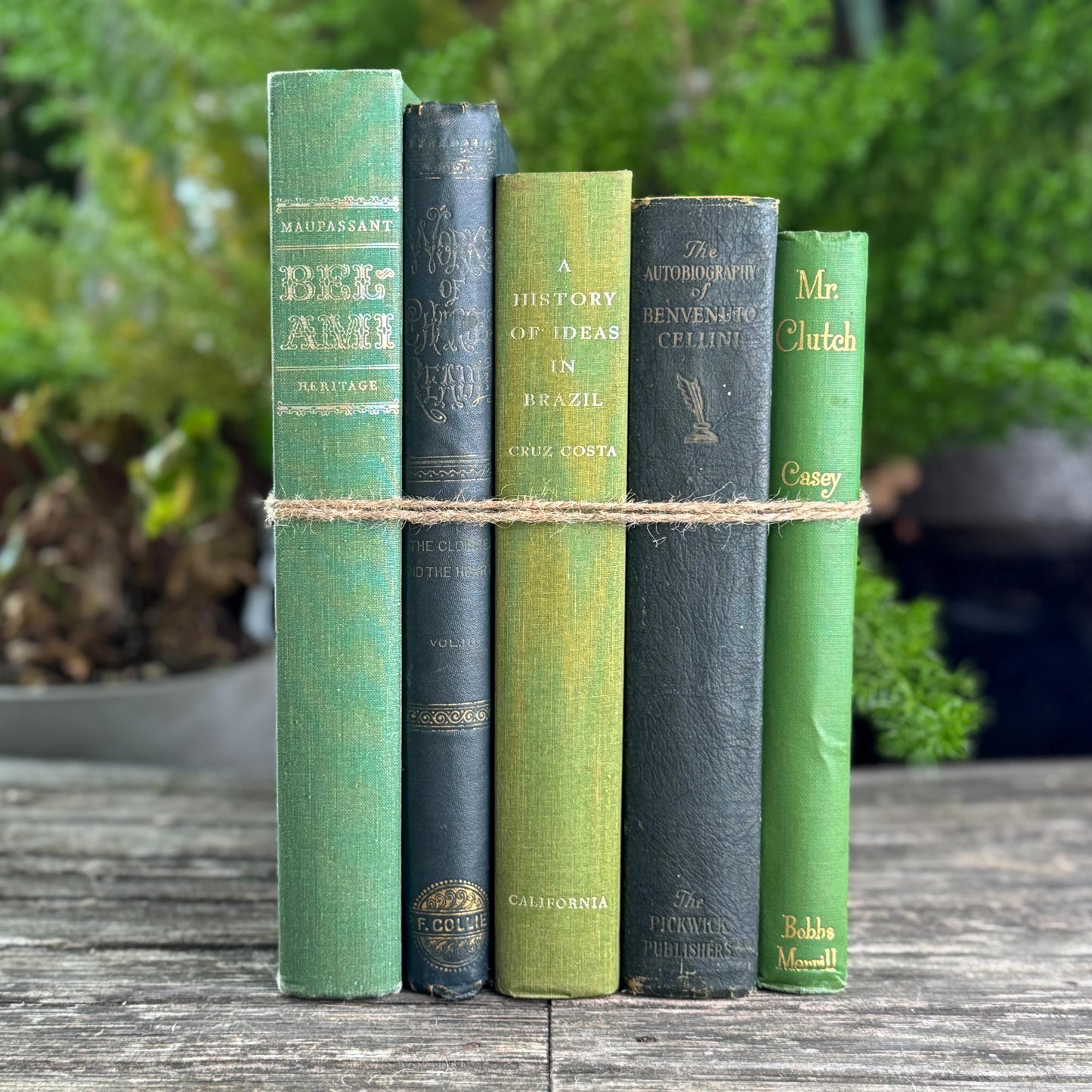 Oversized Green Vintage Book Bundle in Olive and Hunter