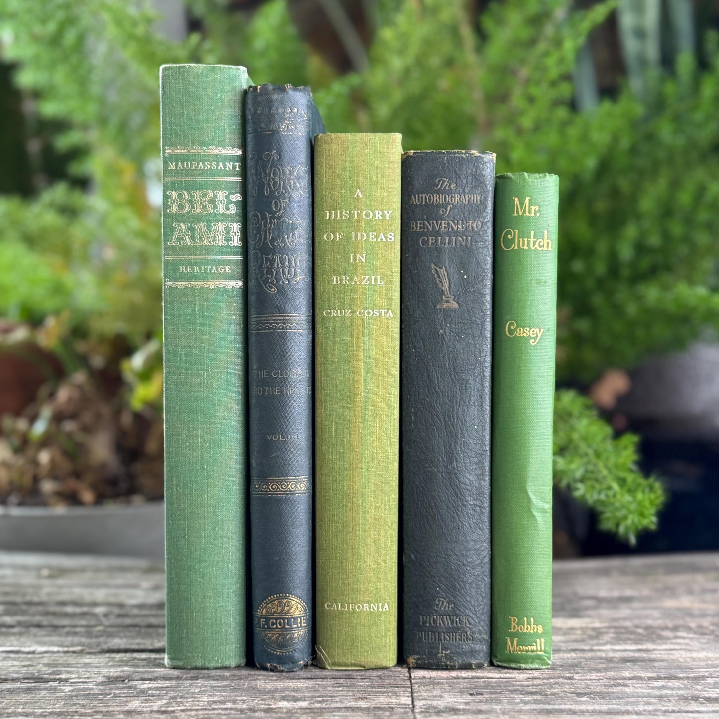 Oversized Green Vintage Book Bundle in Olive and Hunter