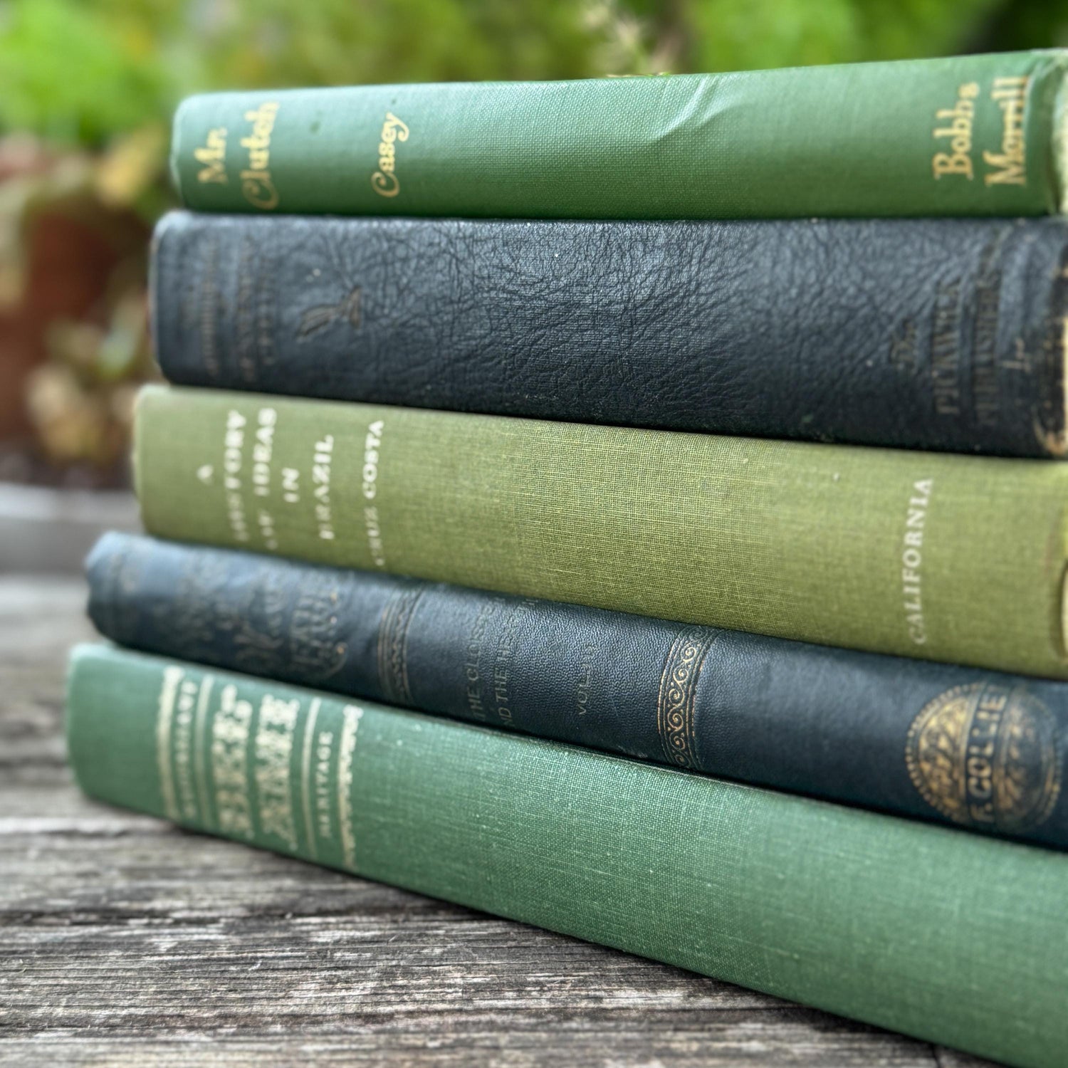 Oversized Green Vintage Book Bundle in Olive and Hunter