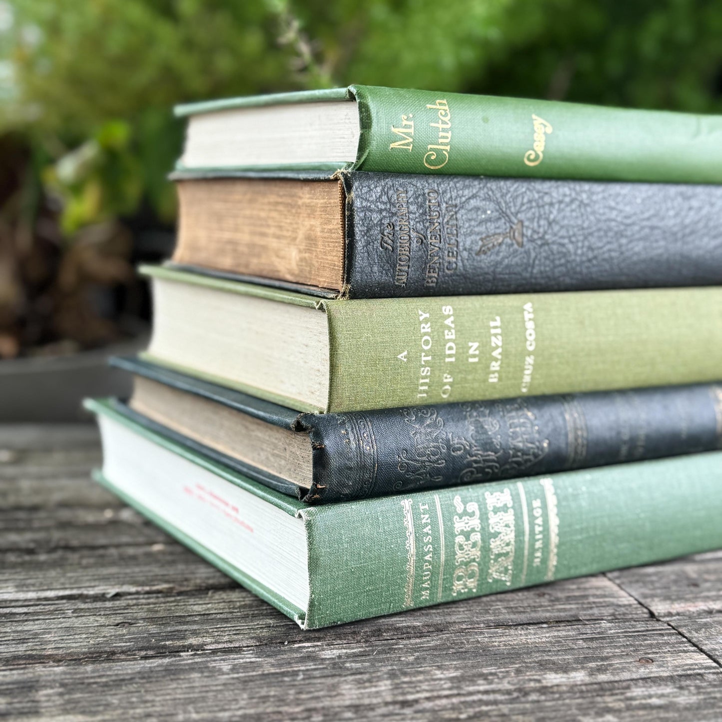 Oversized Green Vintage Book Bundle in Olive and Hunter