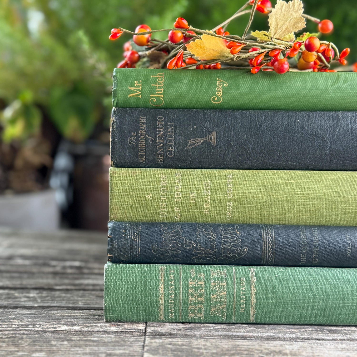 Oversized Green Vintage Book Bundle in Olive and Hunter