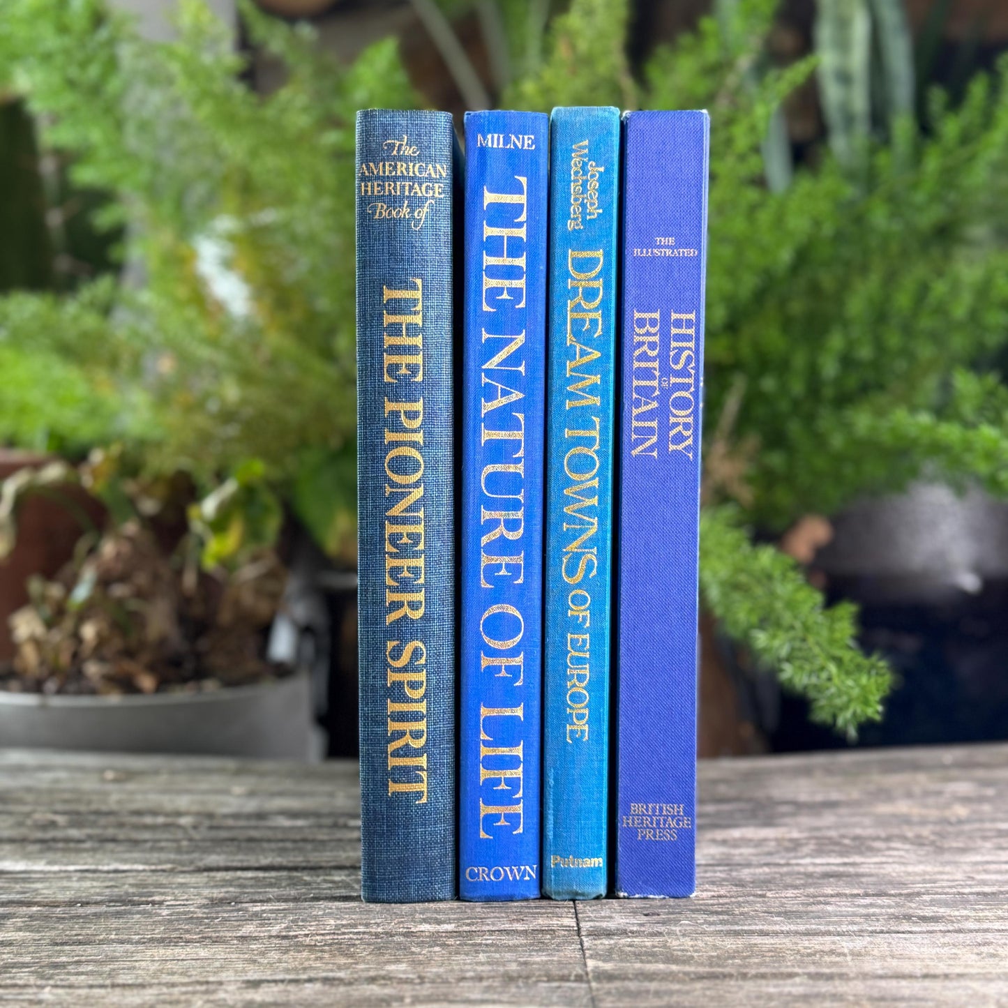 Vintage Indigo Blue Coffee Table Book Bundle