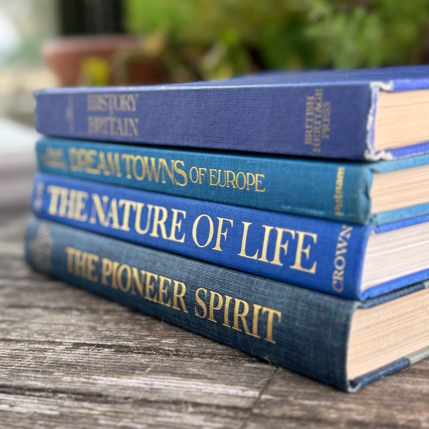 Vintage Indigo Blue Coffee Table Book Bundle