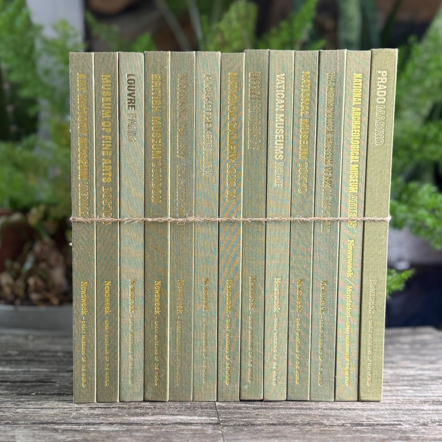 Great Museums of the World Coffee Table Book Set in Olive Green