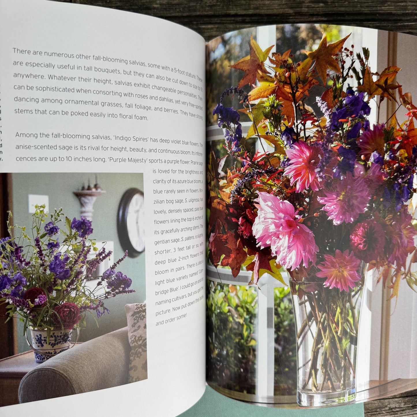 Vintage Gardening and House Plant Themed Coffee Table Book Bundle for Shelf Styling