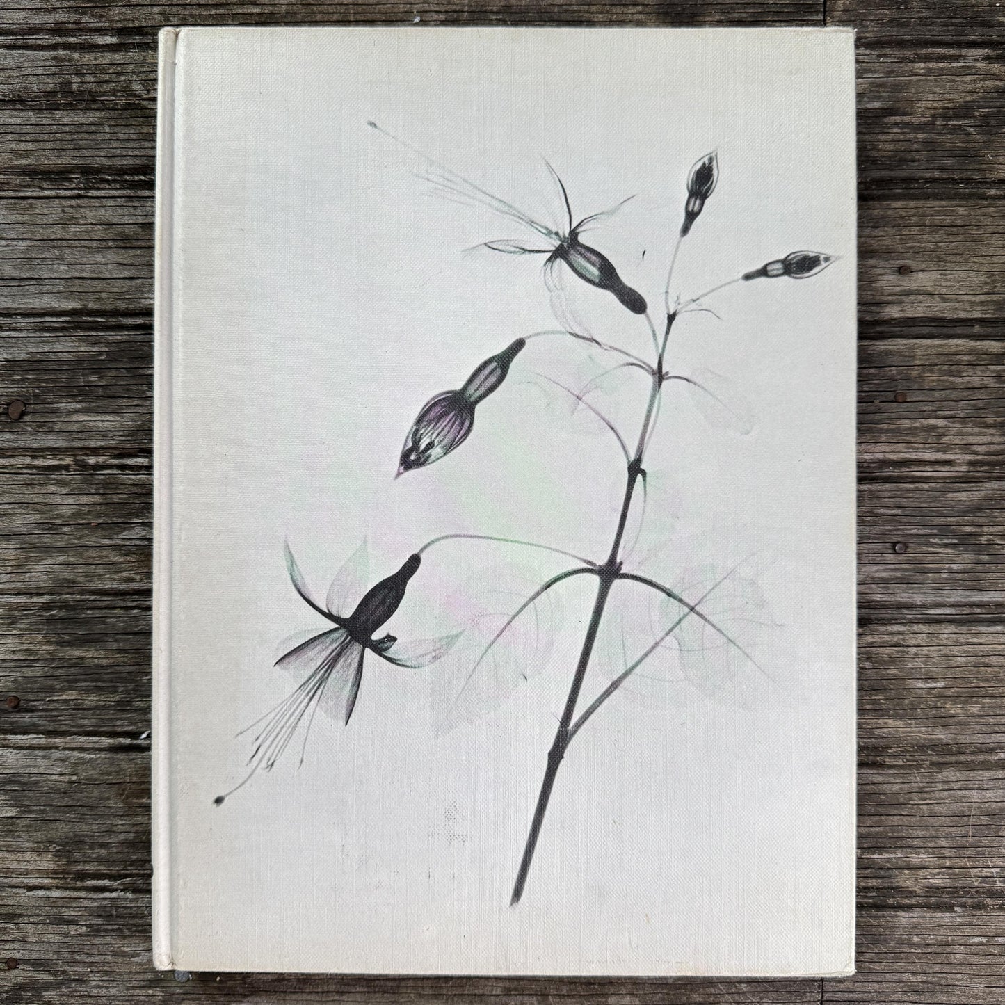 Vintage Gardening and House Plant Themed Coffee Table Book Bundle for Shelf Styling