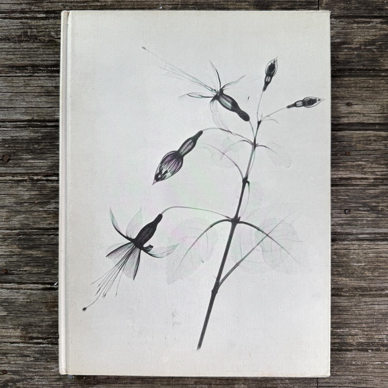 Vintage Gardening and House Plant Themed Coffee Table Book Bundle for Shelf Styling