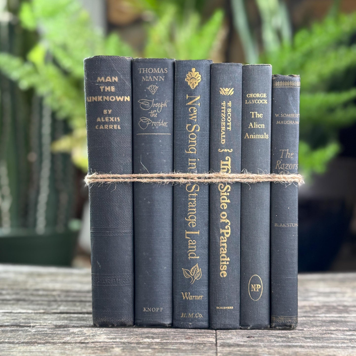 Dark Gray and Faded Black Masculine Mid Century Books for Shelf Styling
