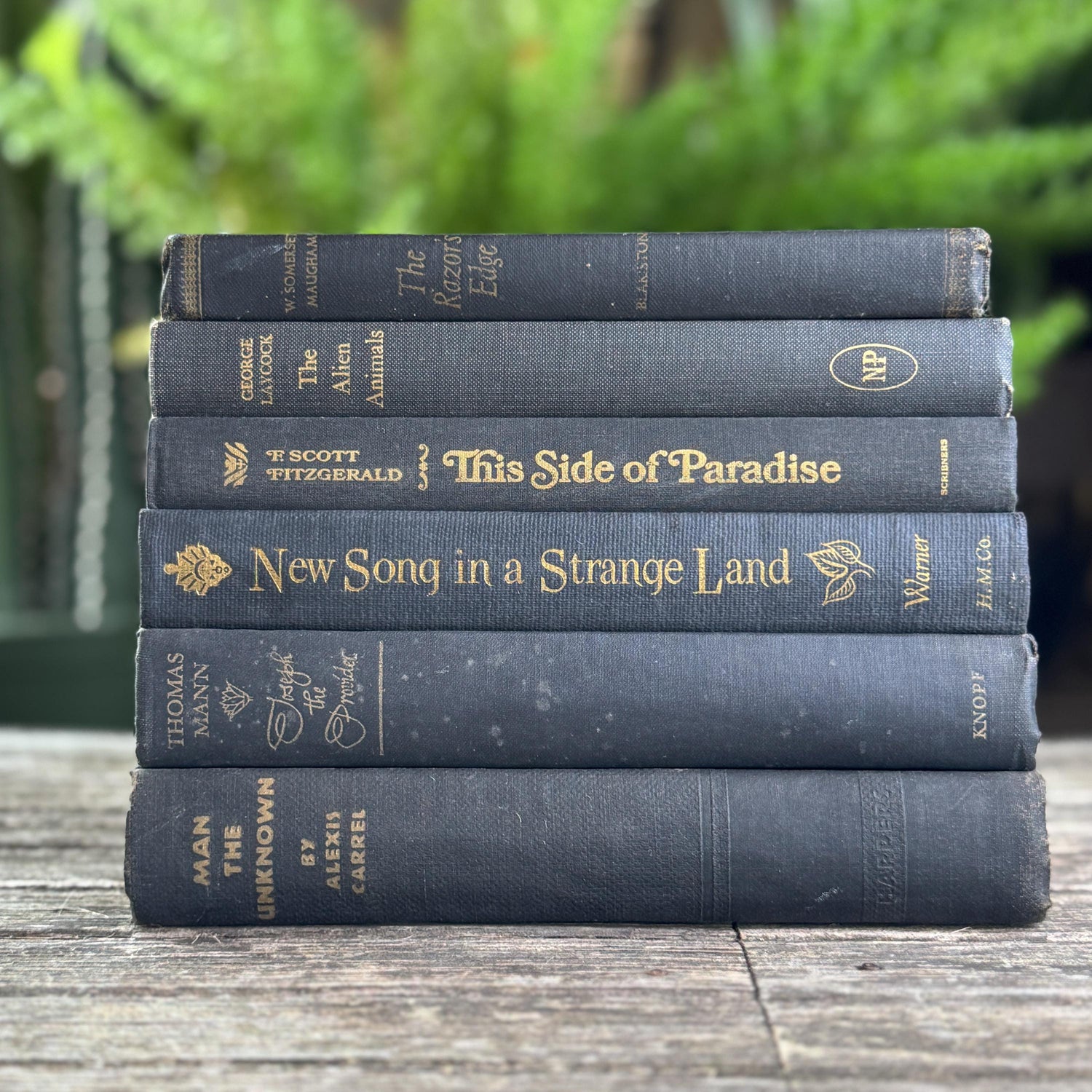 Dark Gray and Faded Black Masculine Mid Century Books for Shelf Styling