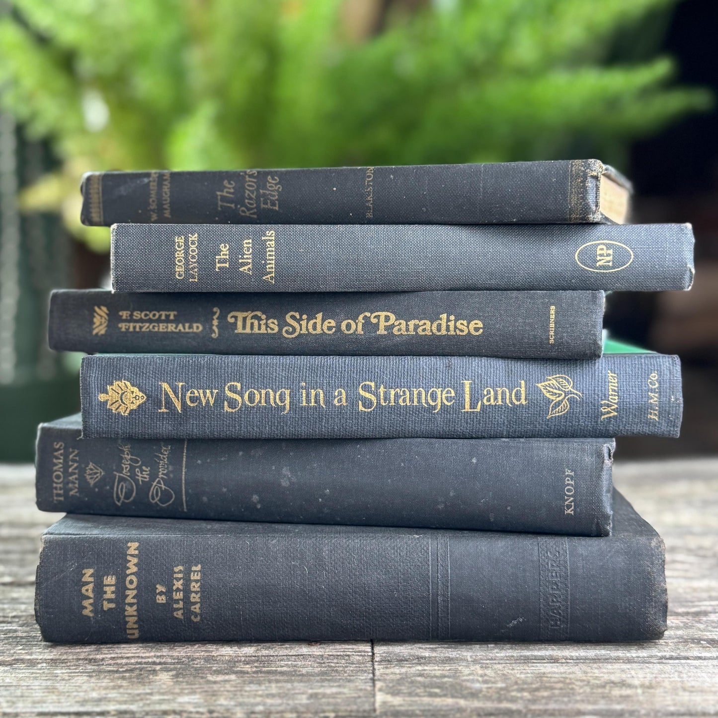 Dark Gray and Faded Black Masculine Mid Century Books for Shelf Styling