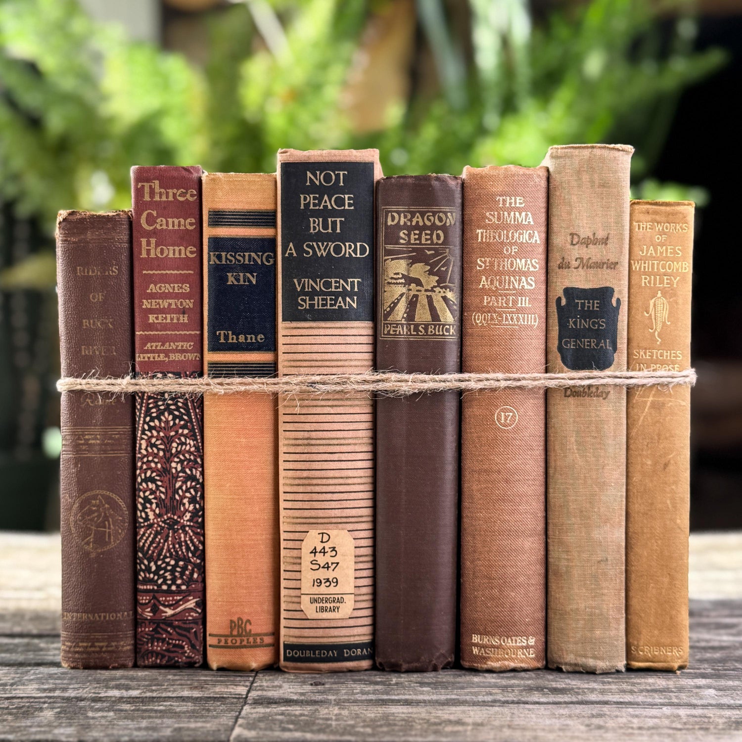 Vintage Copper, Tan, and Brown Retro 1960s Books for Decor