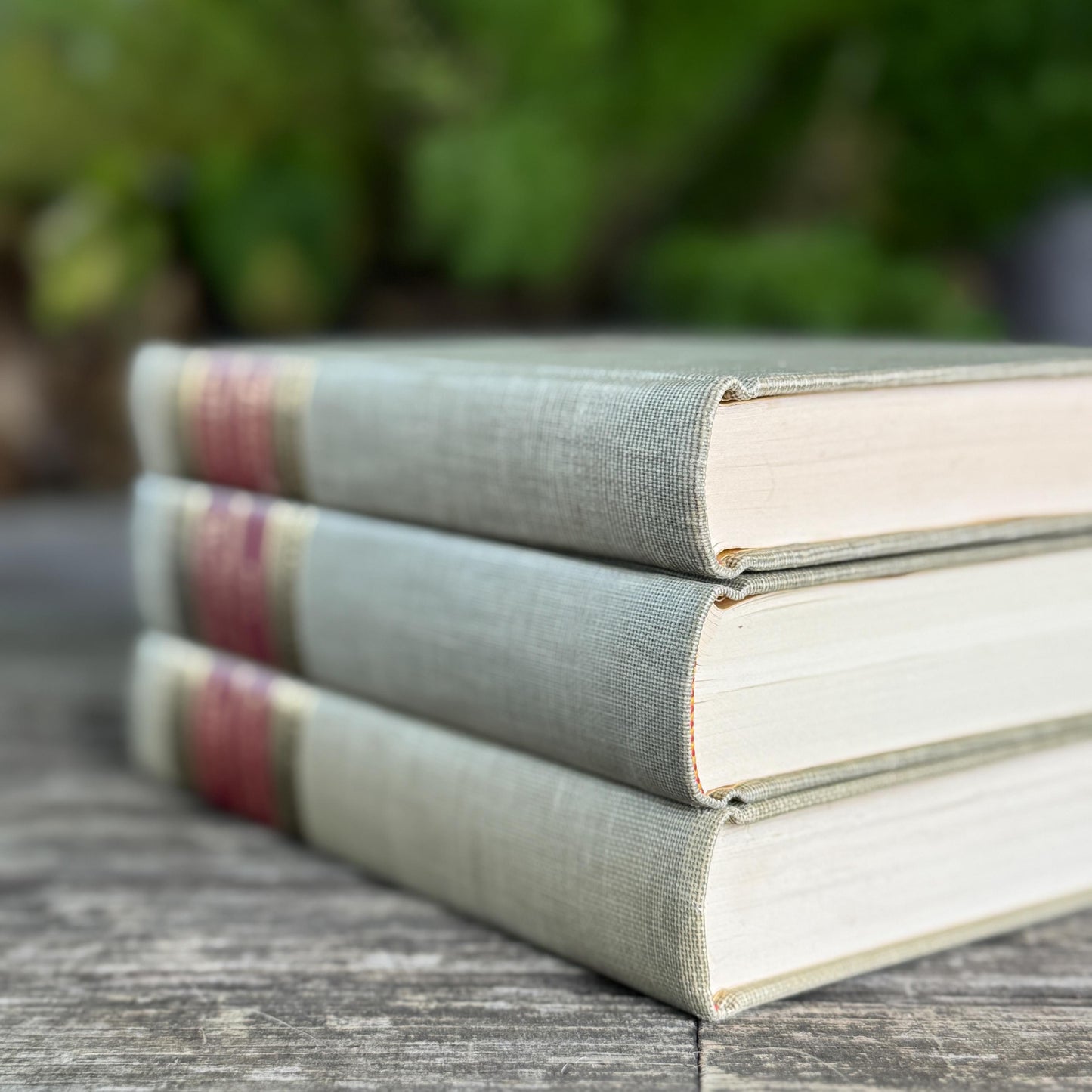 Vintage Classics Club Books, Montaigne, Robert Browning, Dana