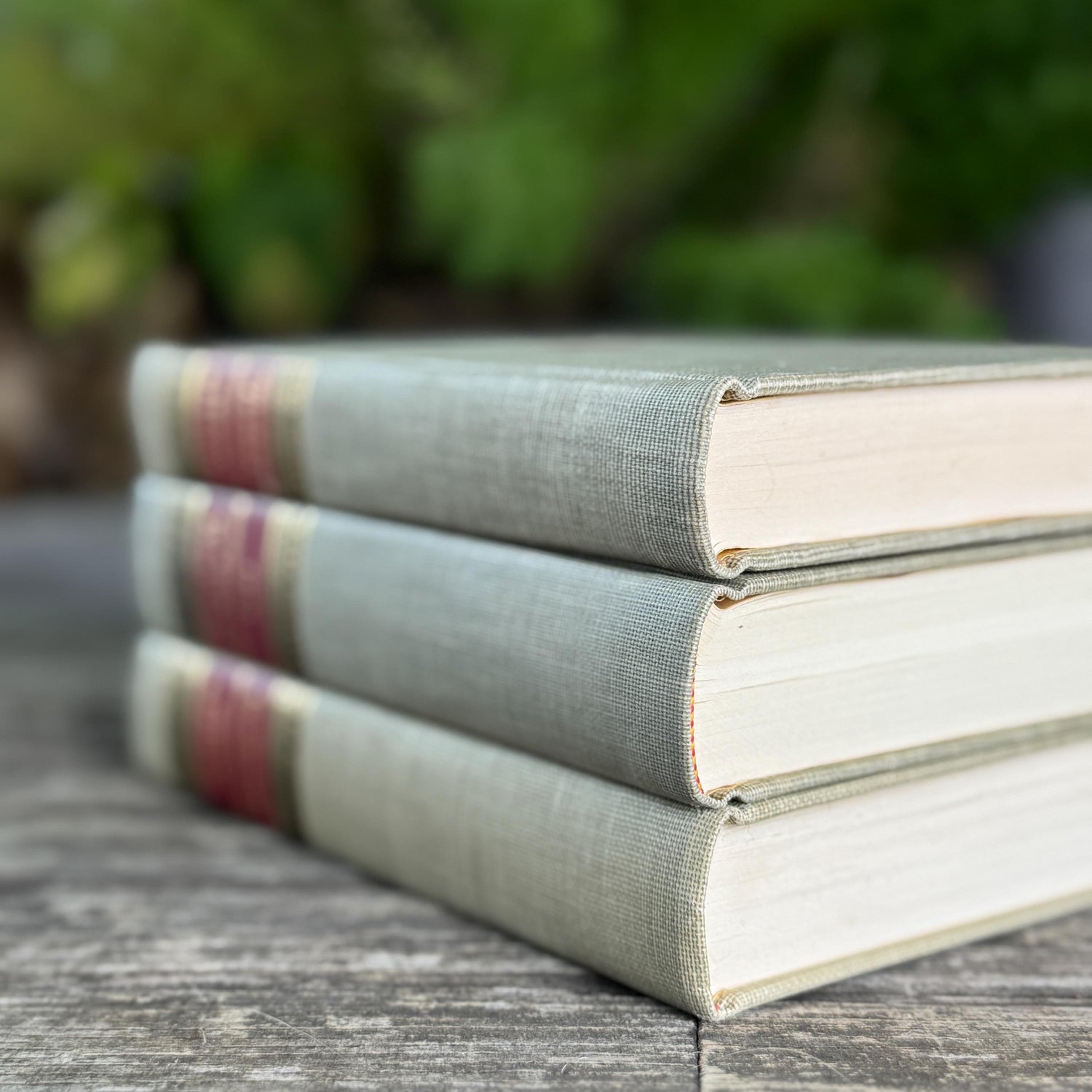 Vintage Classics Club Books, Montaigne, Robert Browning, Dana