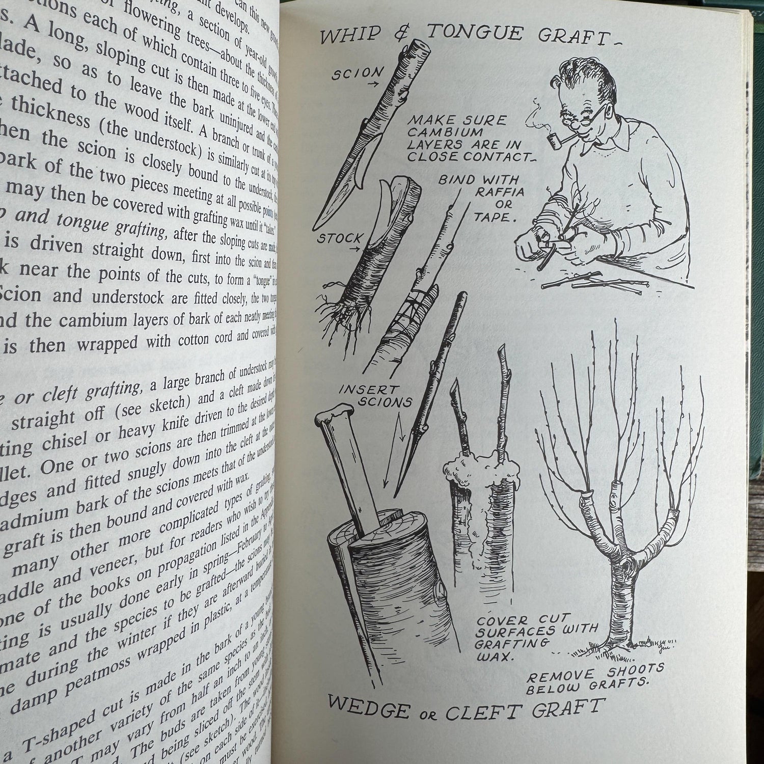 Vintage Green Gardening Book Bundle