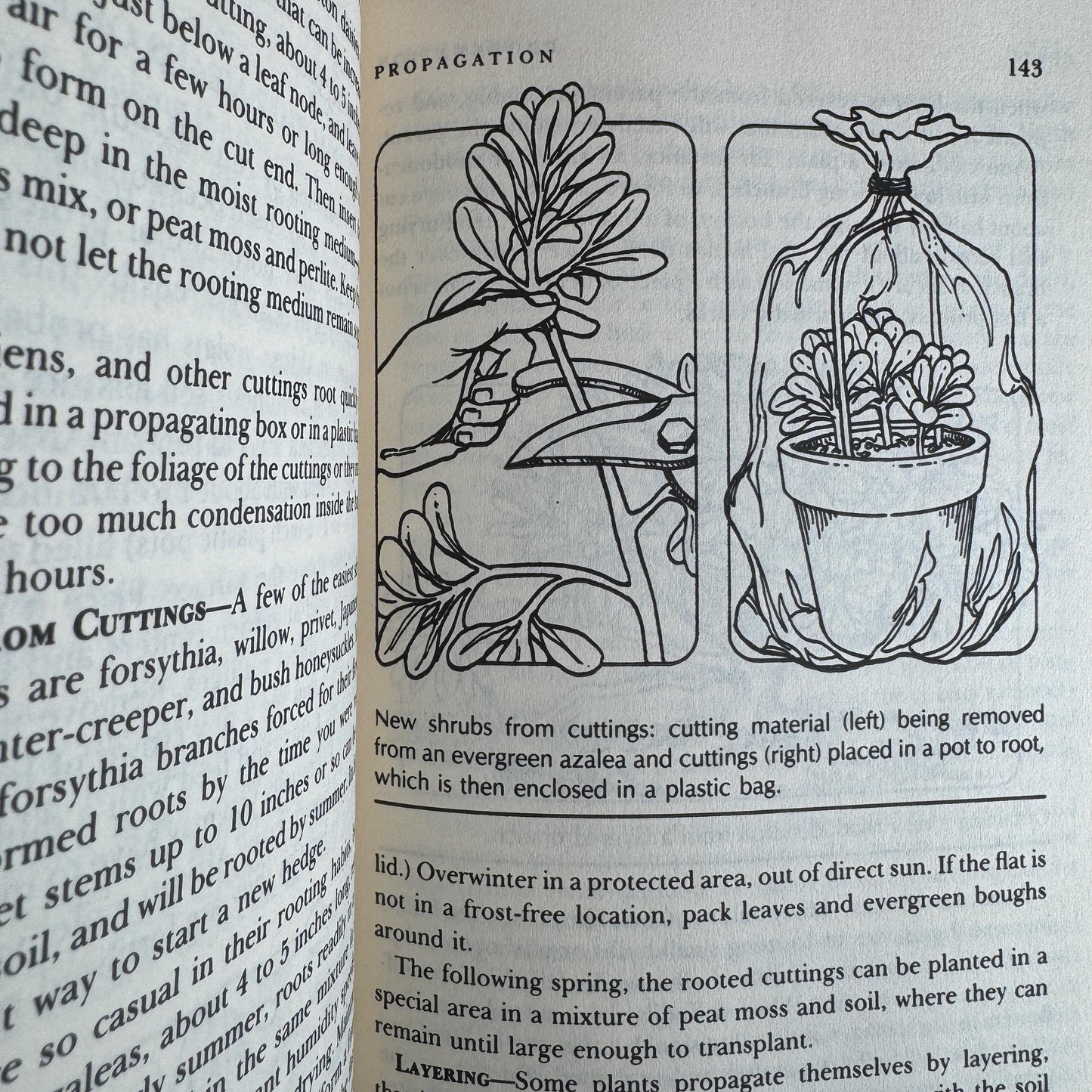 Vintage Green Gardening Book Bundle