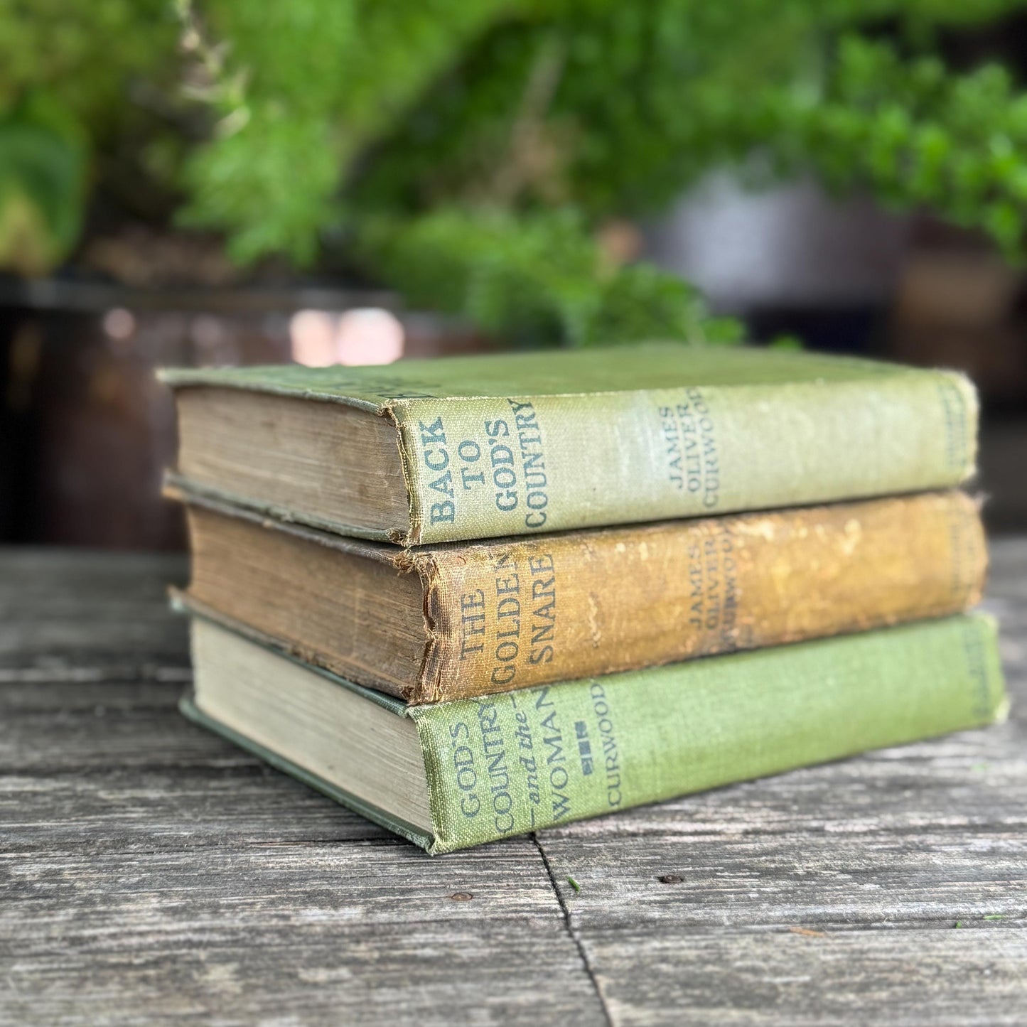 Antique James Oliver Curwood Westerns, Olive Green and Beige Book Bundle
