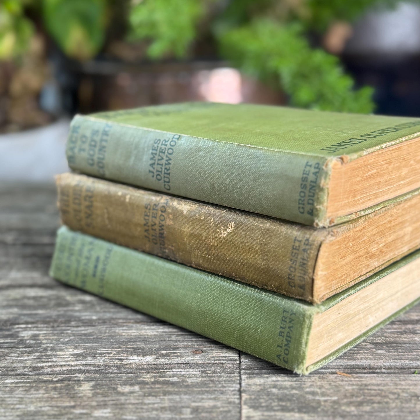 Antique James Oliver Curwood Westerns, Olive Green and Beige Book Bundle