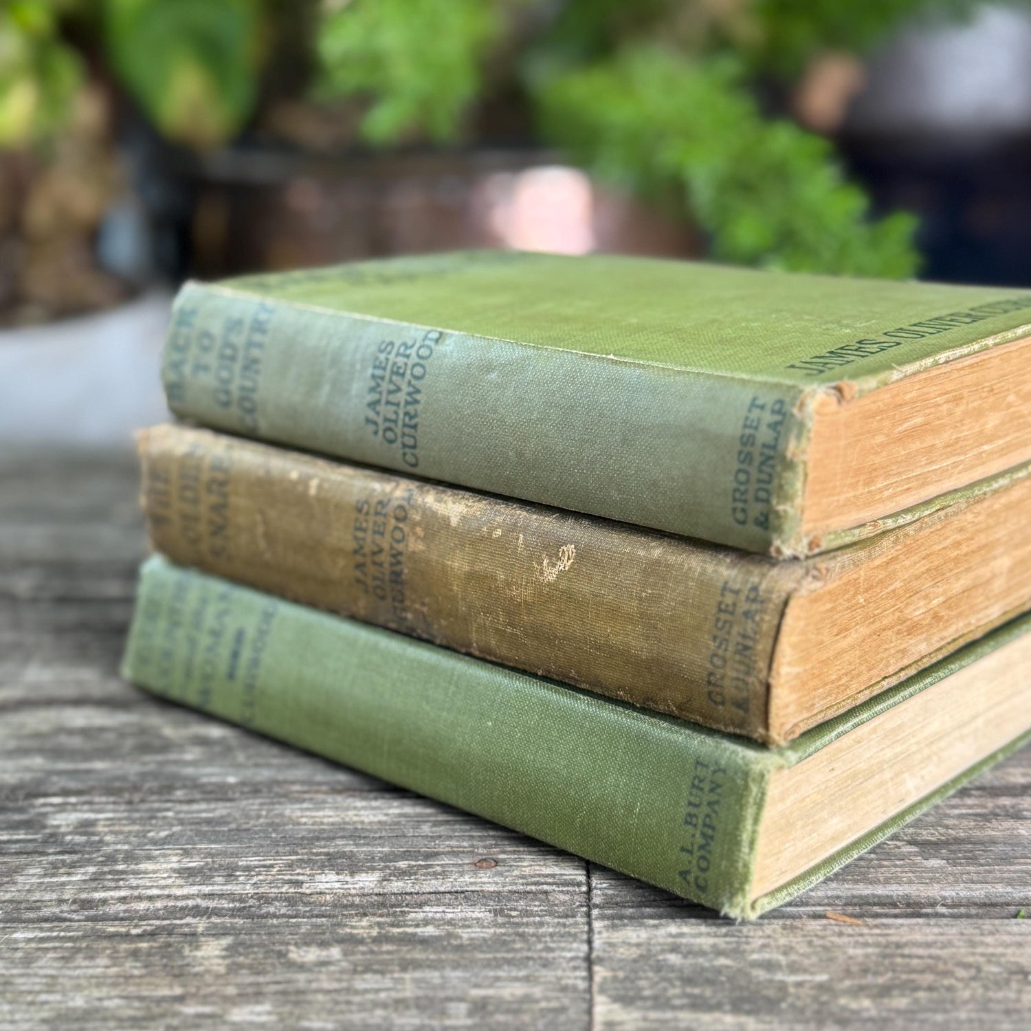Antique James Oliver Curwood Westerns, Olive Green and Beige Book Bundle